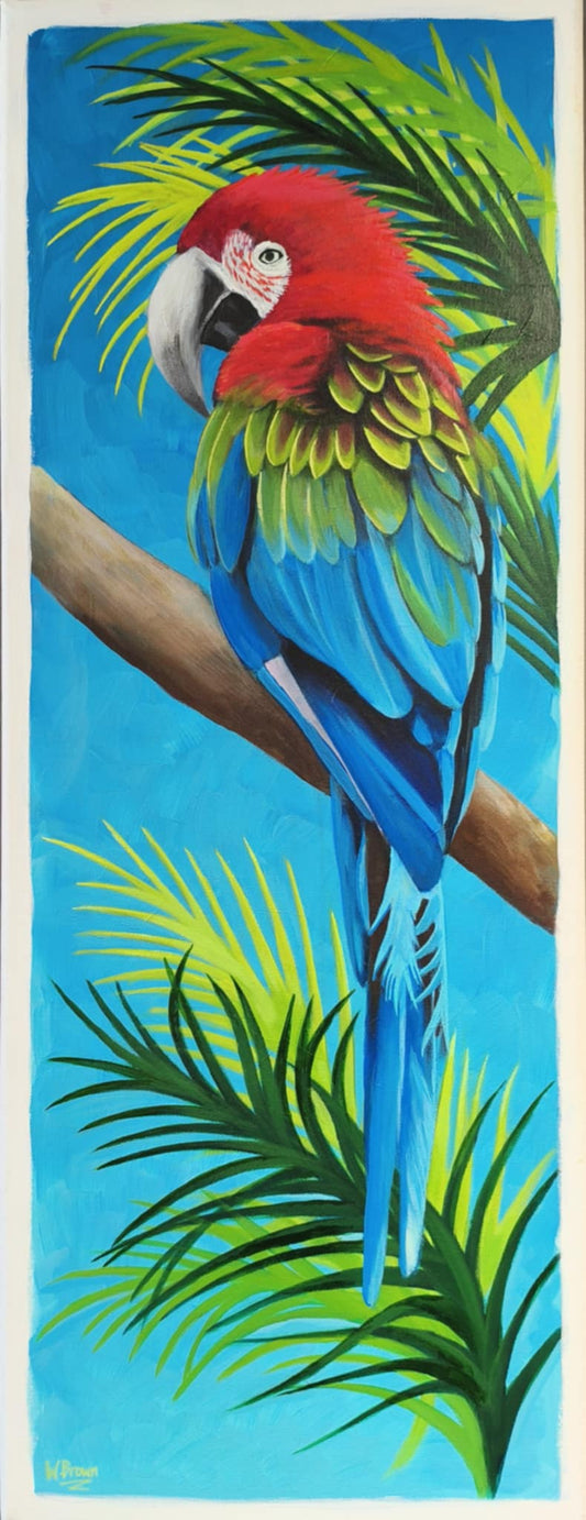 Tropical Majesty – Scarlet Macaw