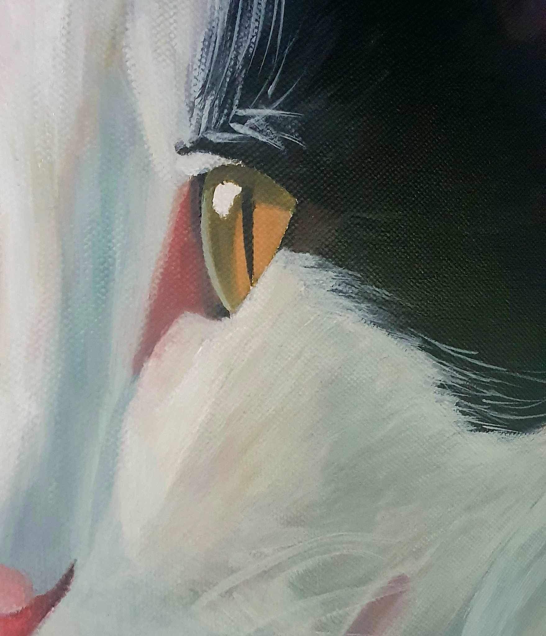 Close up of realistic pet portrait by Wendy Brown in Weston-super-Mare