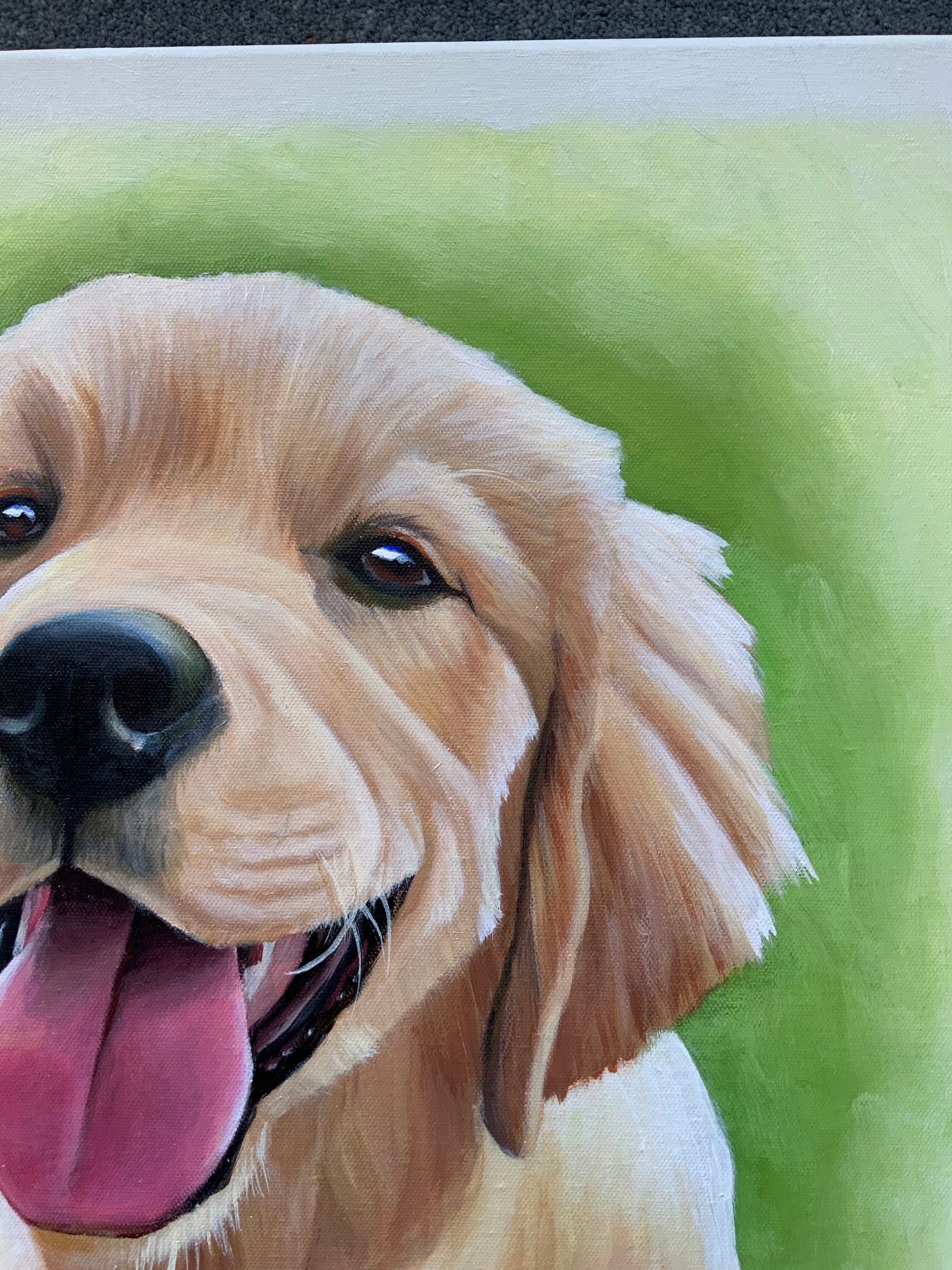 Close up of pet portrait by Wendy Brown in Weston-super-Mare