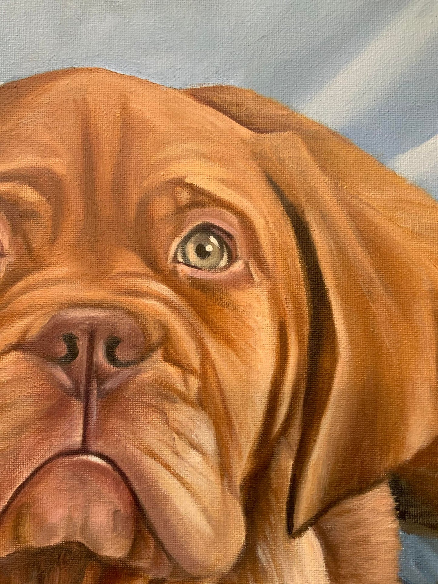 Close up of realistic puppy painting by Wendy Brown in Weston-super-Mare