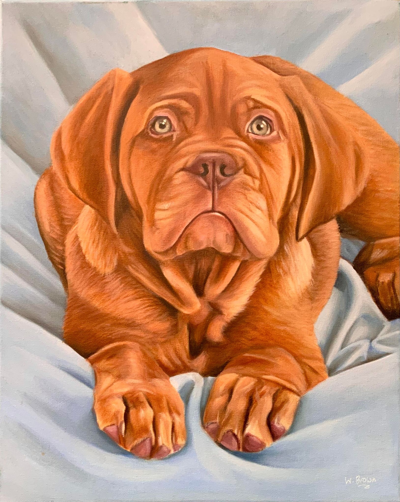 Puppy portrait by Wendy Brown in Weston-super-Mare