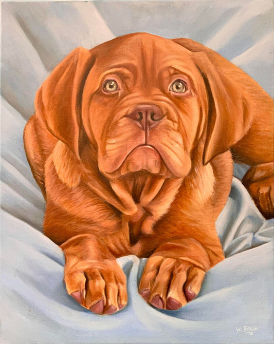 Puppy portrait by Wendy Brown in Weston-super-Mare